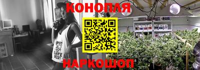 МДПВ Донецк