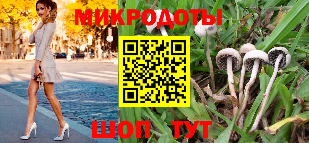 Кизилюрт  Галлюциногенные грибы Psilocybine cubensis  Вход с VPN 